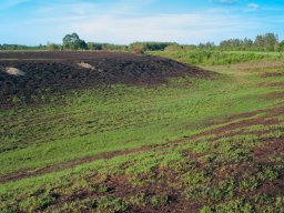 IMGP4908-Edit_Nyt graes i lavningerne